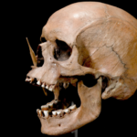 The Beginnings of Archaeology